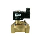1841-KBLF040-250-24DC | 1" Solenoid Valf N.K. Pilot Kumandalı Hava Uygulamaları PU 0.5 - 40 Bar 24V DC 17 W