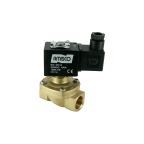 1901-AHND010-150-220AC | 1/2" Solenoid Valf N.A Askı Diyafram Tipi ( HUNG ) NBR 0 - 10 Bar 220V AC 19 VA