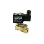 1901-KBEB016-080-G220AC | 1/4" Solenoid Valf N.K. Pilot Kumandalı EPDM 0.5 - 16 Bar G220V AC 19 VA