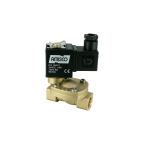 1901-KBHC016-100-24DC | 3/8" Solenoid Valf N.K. Pilot Kumandalı HNBR 0.5 - 16 Bar 24V DC 10 W