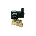 1901-KBVC016-100-110AC | 3/8" Solenoid Valf N.K. Pilot Kumandalı FKM 0.5 - 16 Bar 110V AC 13 VA