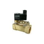 1931-KBNF010-190-G24DC | 1" Solenoid Valf N.K. Pilot Kumandalı Eko Seri NBR 0.5 - 10 Bar G24V DC 6.5 W