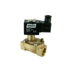 4801-ABPE006-190-220AC | 3/4" Solenoid Valf N.A Pilot Kumandalı Buhar PTFE 0.5 - 6 Bar 220V AC 19 VA