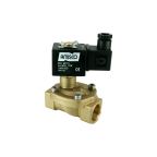 4801-ABPE006-190-24DC | 3/4" Solenoid Valf N.A Pilot Kumandalı Buhar PTFE 0.5 - 6 Bar 24V DC 17 W