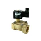 4801-ABPF006-250-24DC | 1" Solenoid Valf N.A Pilot Kumandalı Buhar PTFE 0.5 - 6 Bar 24V DC 17 W