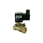 4801-KBPD006-120-24DC | 1/2" Solenoid Valf N.K. Pilot Kumandalı Buhar PTFE 0.5 - 6 Bar 24V DC 10 W