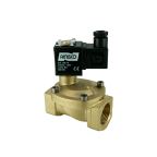 4801-KBPF006-250-24DC | 1" Solenoid Valf N.K. Pilot Kumandalı Buhar PTFE 0.5 - 6 Bar 24V DC 10 W