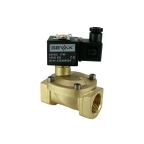4801-KBPF006-250-G24DC | 1" Solenoid Valf N.K. Pilot Kumandalı Buhar PTFE 0.5 - 6 Bar G24V DC 17 W