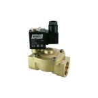 4901-ABEF003-250-24DC | 1" Solenoid Valf N.A Pilot Kumandalı Buhar EPDM 0.5 - 3 Bar 24V DC 17 W