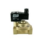4911-KBPF010-250-220AC | 1" Solenoid Valf N.K. Pilot Kumandalı Pistonlu Buhar  PTFE 0.5 - 10 Bar 220V AC 19 VA