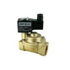 4911-KBPF010-250-G110AC | 1" Solenoid Valf N.K. Pilot Kumandalı Pistonlu Buhar  PTFE 0.5 - 10 Bar G110V AC 19 VA