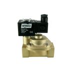 4911-KBPF010-250-24AC | 1" Solenoid Valf N.K. Pilot Kumandalı Pistonlu Buhar  PTFE 0.5 - 10 Bar 24V AC 19 VA