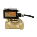 5901-KBNF016-250-G220AC | 1" Solenoid Valf N.K. Pilot Kumandalı Ex-Proof NBR 0.5 - 16 Bar G220V AC 13 VA