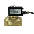 5971-KHNF001-250-G24DC | 1" Solenoid Valf N.K. Askı Diyafram Tipi ( HUNG ) Ex-Proof Paslanmaz Kovanlı NBR 0 - 1 Bar G24V DC 11 W
