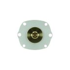 2025060 | Montajlı Diyafram 1" PTFE