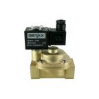 1" Solenoid Valf N.K. Pilot Kumandalı Pistonlu Buhar  PTFE 0.5 - 10 Bar G12V DC 17 W — Ek ürün görseli