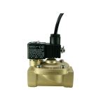1" Solenoid Valf N.K. Pilot Kumandalı Ex-Proof Eko Seri FKM 0.5 - 10 Bar 220V AC 3.2 VA — Ek ürün görseli