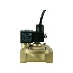1" Solenoid Valve N.C. Ex-Proof Economical Serie Pilot Operated FKM 0.5 - 10 Bar 24V DC 3 W — Additional product image