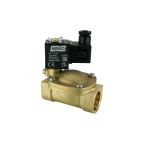 1" Solenoid Valf N.K. Pilot Kumandalı Manuel Eko Seri NBR 0.5 - 16 Bar 220V AC 8.5 VA — Ek ürün görseli
