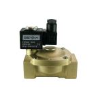 1 1/4" Solenoid Valf N.K. Pilot Kumandalı FKM 0.5 - 10 Bar G110V AC 19 VA — Ek ürün görseli