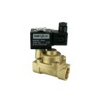 3/4" Solenoid Valf N.K. Pilot Kumandalı Pistonlu Buhar  PTFE 0.5 - 10 Bar G220V AC 19 VA — Ek ürün görseli