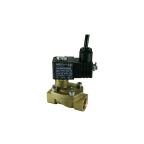 1/2" Solenoid Valf N.K. Pilot Kumandalı Ex-Proof Eko Seri Düşük Fark Basınçlı NBR 0.1 - 10 Bar 24V DC 3 W — Ek ürün görseli