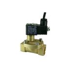 3/4" Solenoid Valf N.K. Pilot Kumandalı Ex-Proof Eko Seri Düşük Fark Basınçlı NBR 0.1 - 10 Bar 24V DC 3 W — Ek ürün görseli