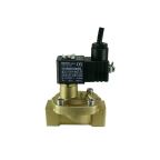 3/4" Solenoid Valf N.K. Pilot Kumandalı Ex-Proof Eko Seri Düşük Fark Basınçlı NBR 0.1 - 10 Bar 24V DC 3 W — Ek ürün görseli