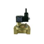 1" Solenoid Valf N.K. Pilot Kumandalı Ex-Proof Eko Seri Düşük Fark Basınçlı NBR 0.1 - 10 Bar 24V DC 3 W — Ek ürün görseli