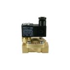 1/2" Solenoid Valf N.K. Pilot Kumandalı Ex-Proof Eko Seri FKM 0.5 - 10 Bar 24V DC 3 W — Ek ürün görseli